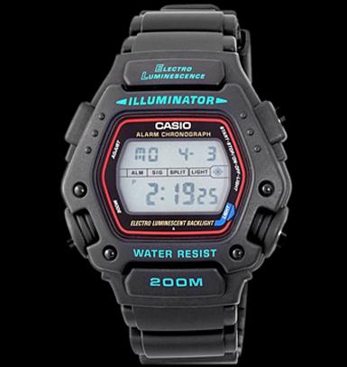 Casio DW-290-1V