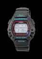 DW-290-1V