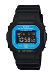 DW-5600SN-1E